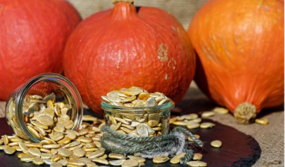 Pumpkin Seeds in Urdu