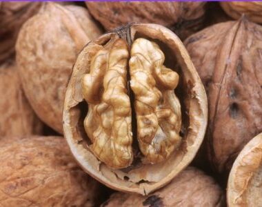 Pumpkin Seeds Benefits & Kaddu ke Beej | al-maharah