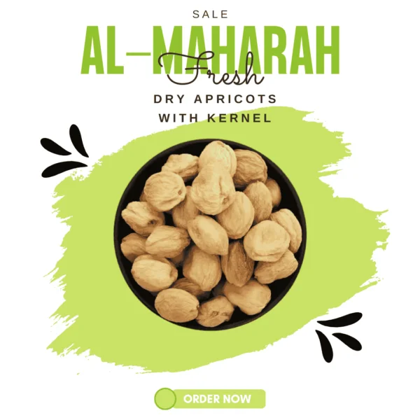 dried apricot with kernel
